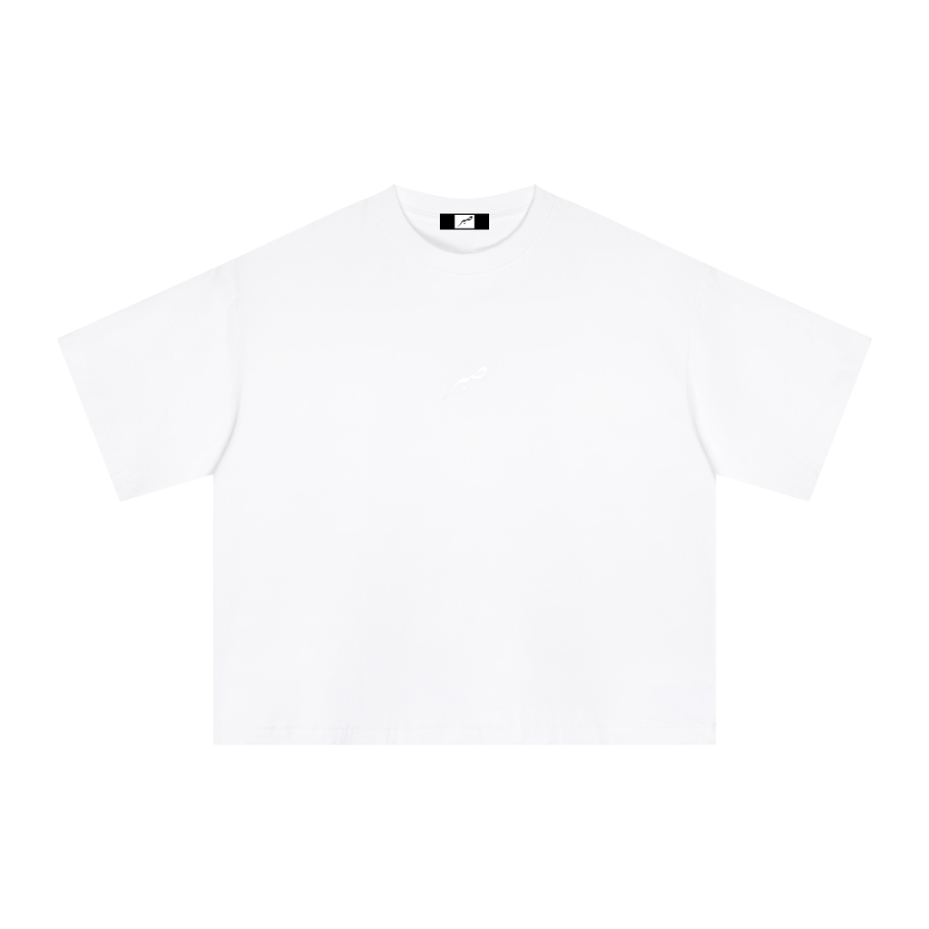 SABR Boxy T-Shirt "Eye of Hamza"