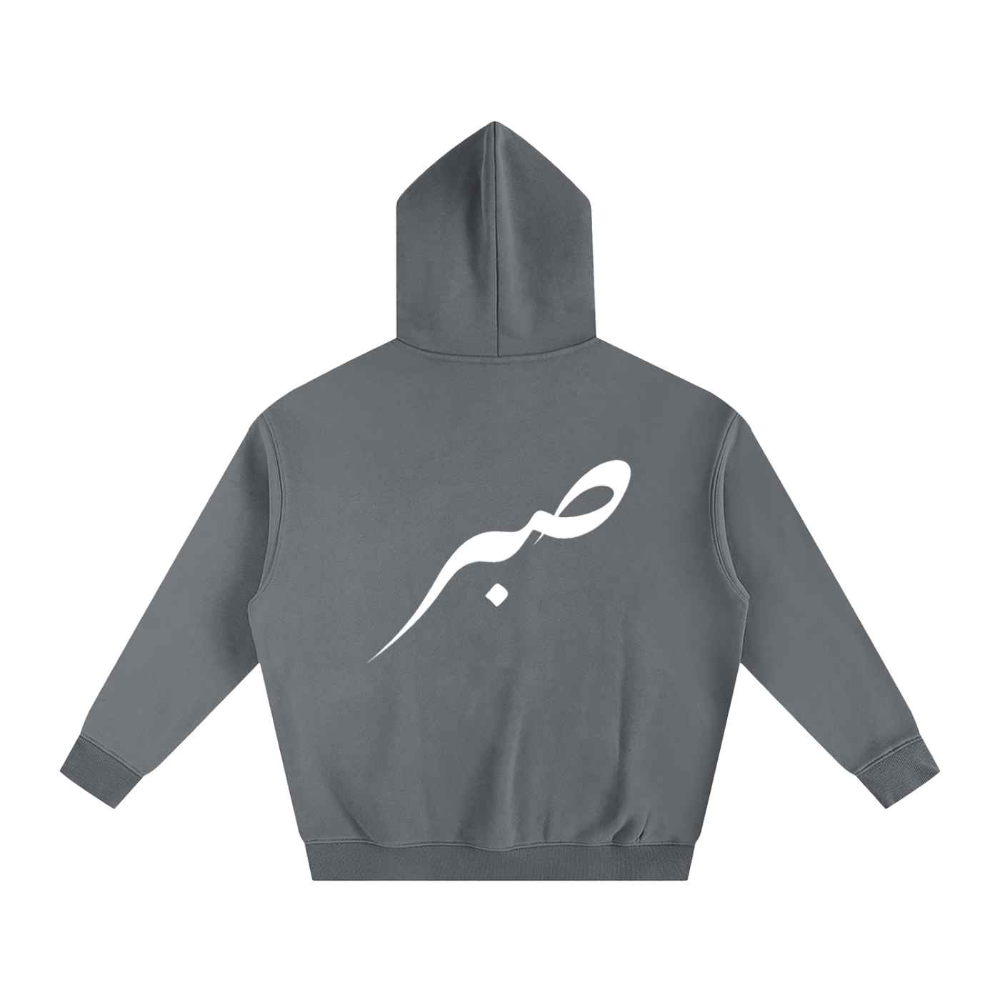 SABR Oversize Fleeced Hoodie