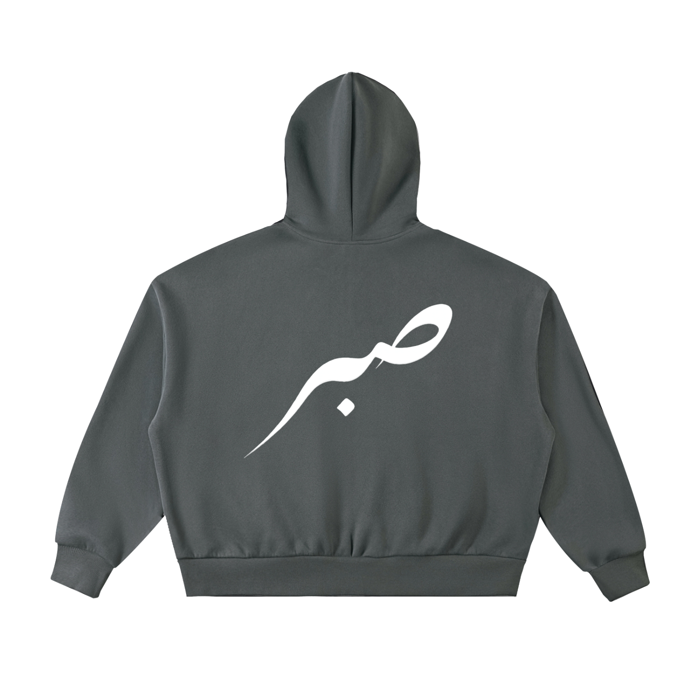 SABR Fleeced Full-Zip Boxy Hoodie