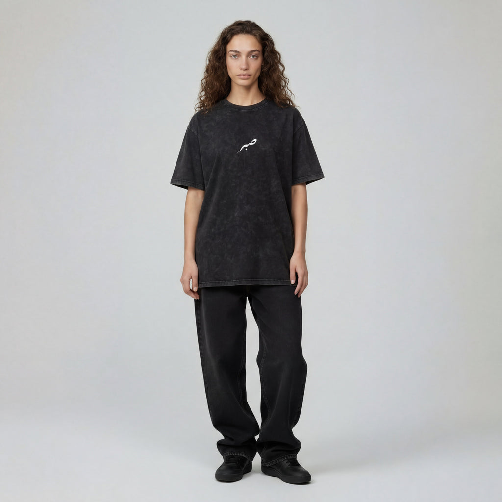 SABR T-Shirt Snow Washed Oversized